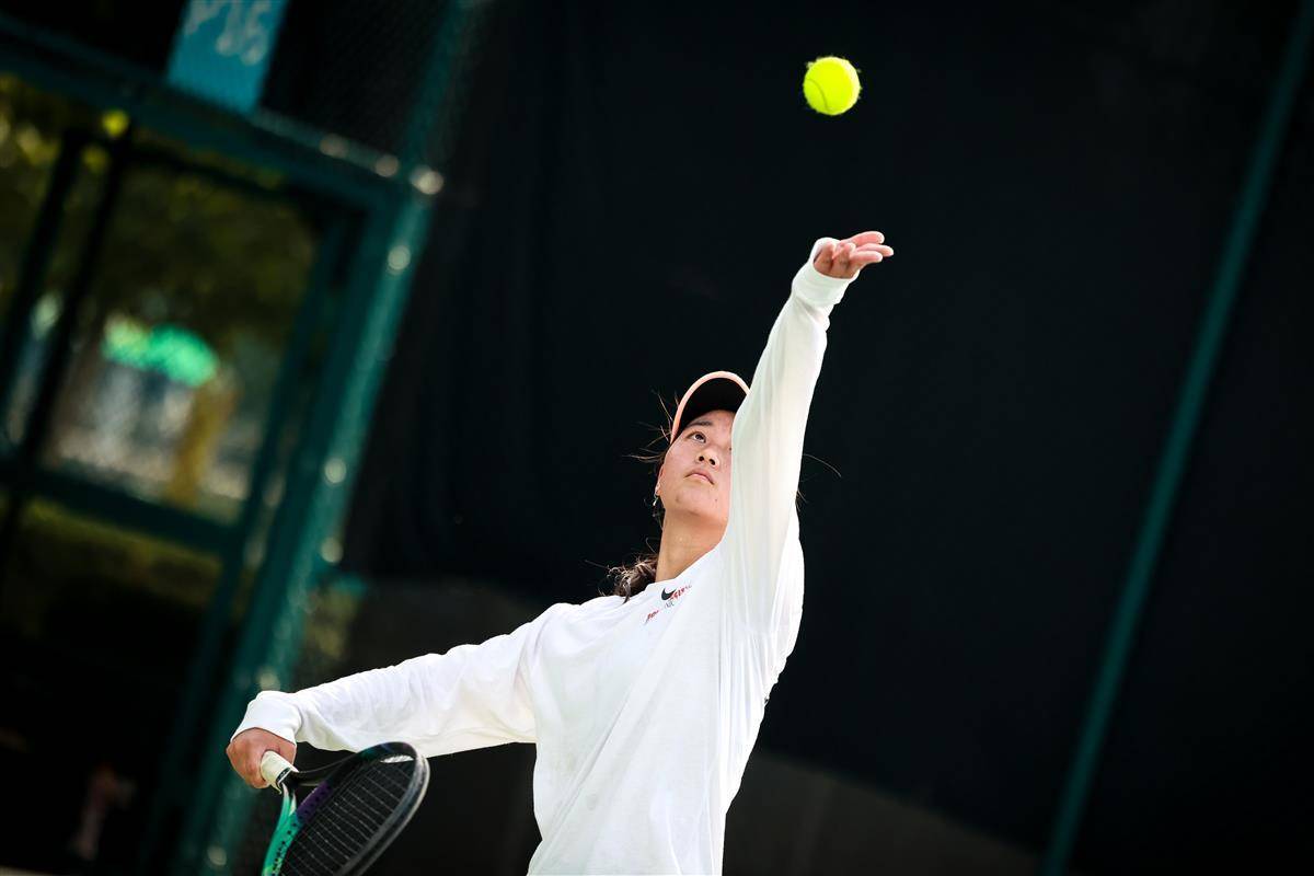 展的期待 展的期待