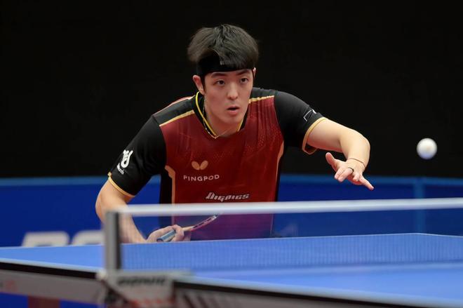 添了无与伦 添了无与伦