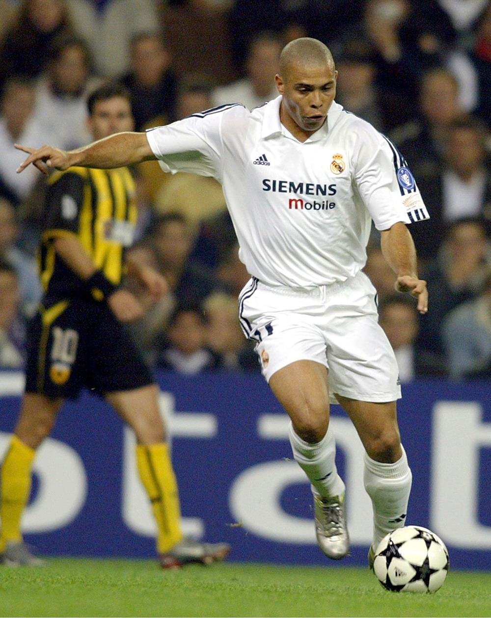 阿莫林还能 阿莫林还能